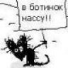 diska