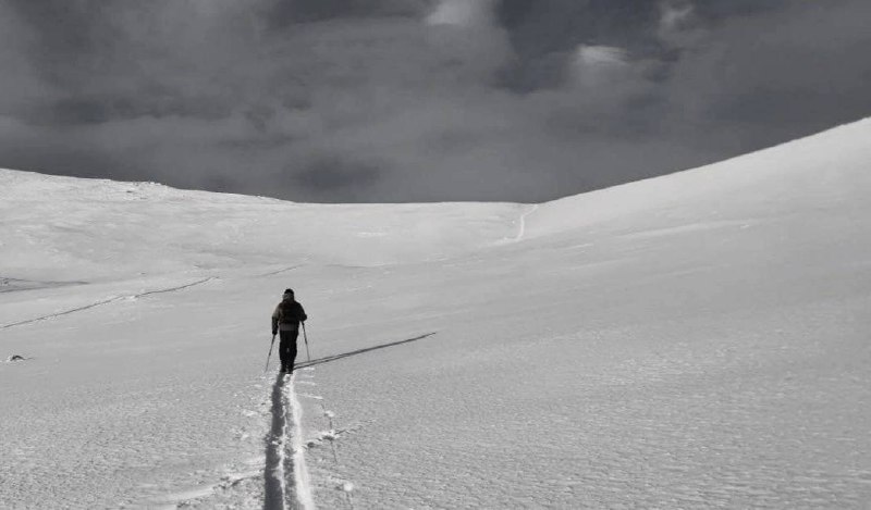 Евгений Ставицкий