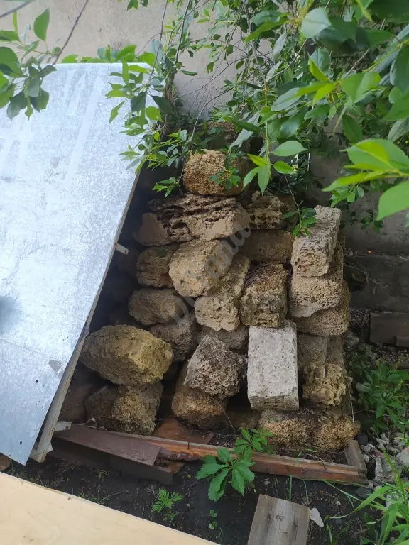 Продам ракушняк