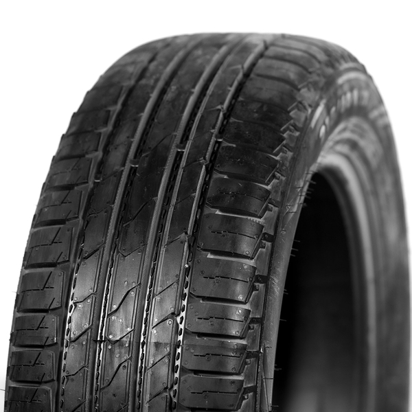 R18 255/55 Ikon (Nokian Tyrеs) Nordman S2 SUV XL 109V
