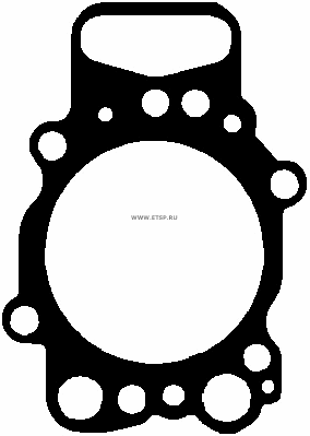 прокладка ГБЦ Scania 613488510