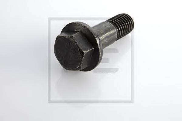 Болт M18x2x55 суппорта  8900654SX