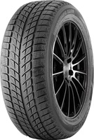 R20 255/55 Doublestar DW09 107H
