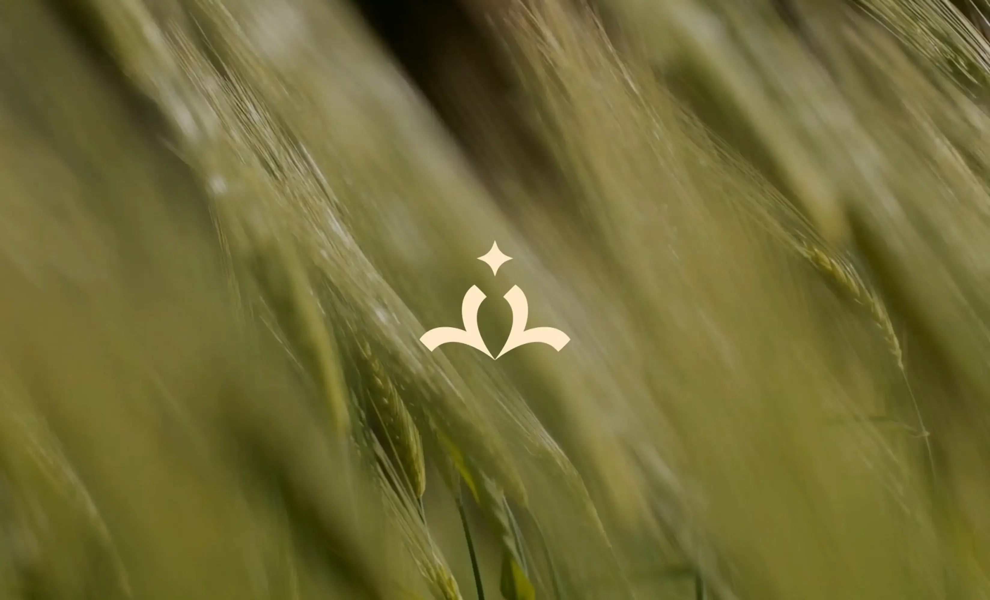 Лисино. Системная трансформация бренда