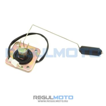 Датчик уровня топлива Senke SK250 5, RAPTOR, Majesty, T Leopard 