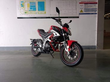 Мотоцикл ROLIZ SPIDER YS166FMM 250cc с ПТС