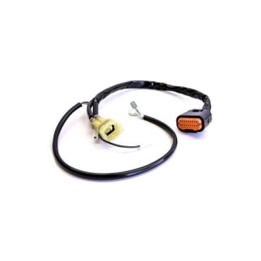 Проводка модуля зажигания (CDI) KTM 85SX 18 21; SX125 250 11 21; 125EXC, 250EXC, 300EXC 07 16 / Husaberg TE 125 300 11 14 / Husqvarna TC85 18 21; ЕС125 250 14 17; TE250, TE300 14 16