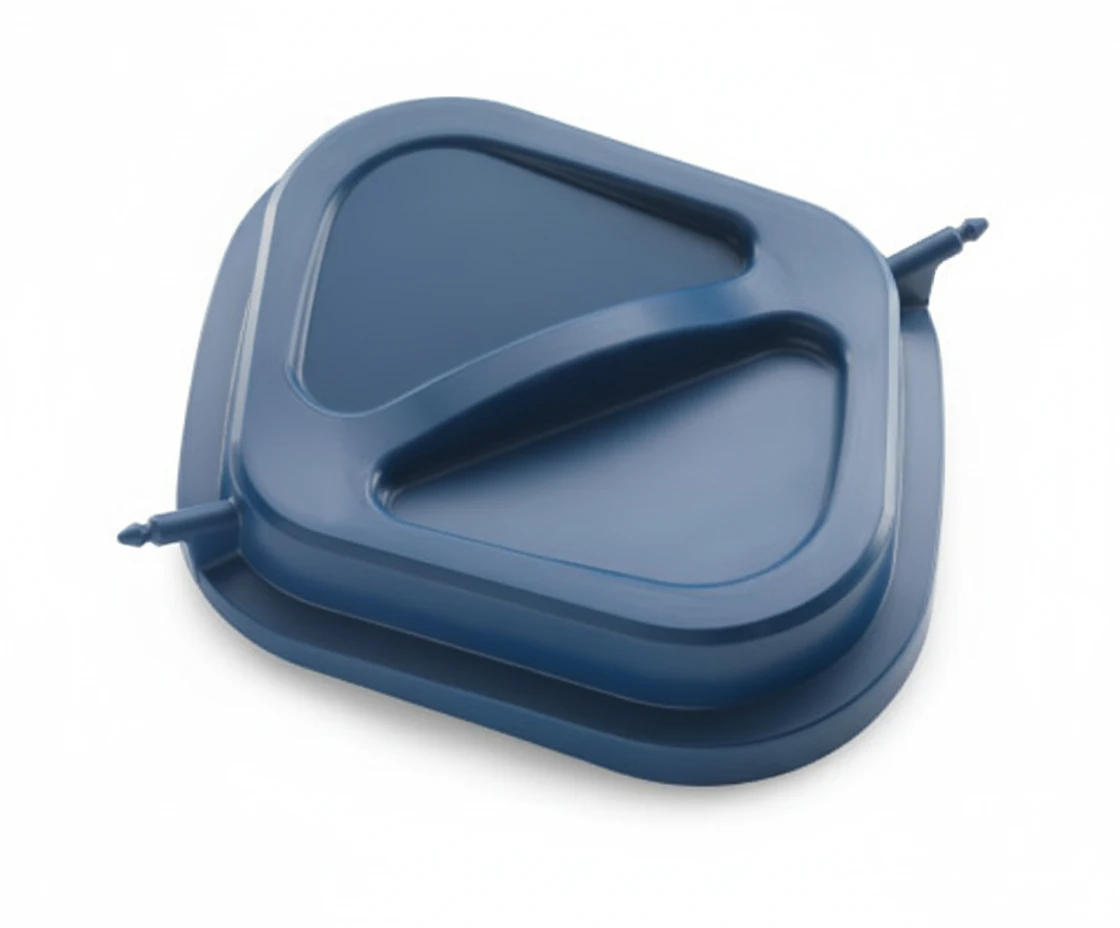 OEM 25006998100H1 — эталонное изображение