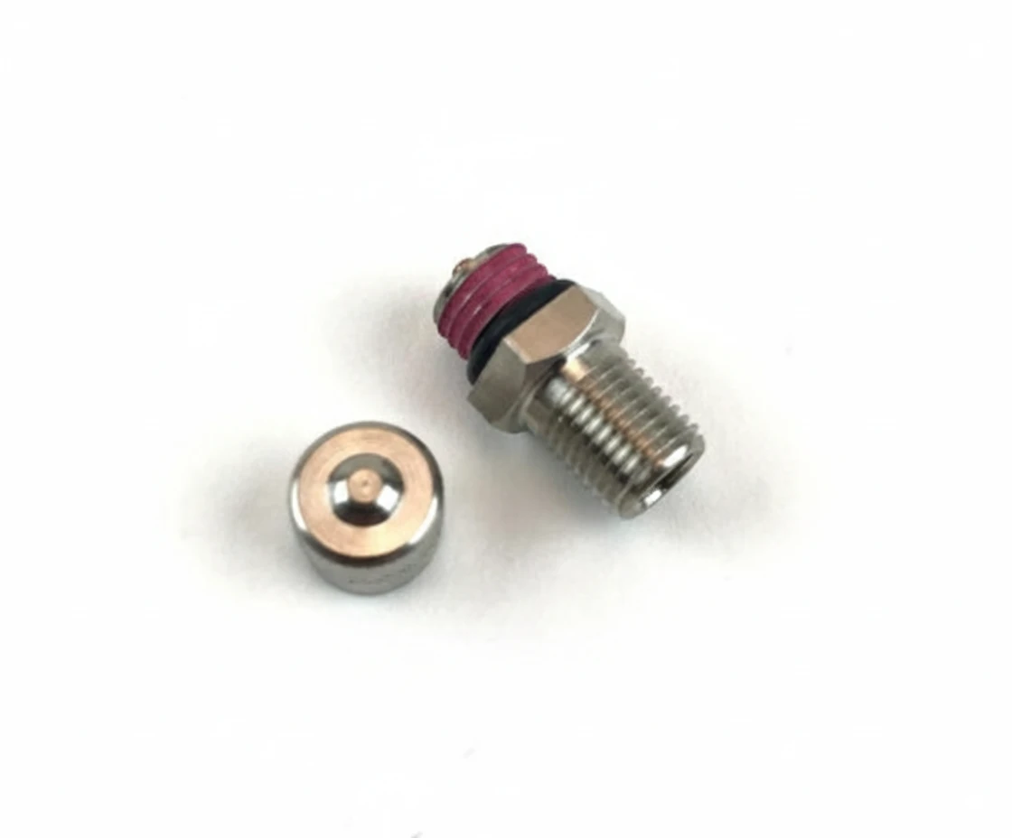 OEM 48601494S — эталонное изображение