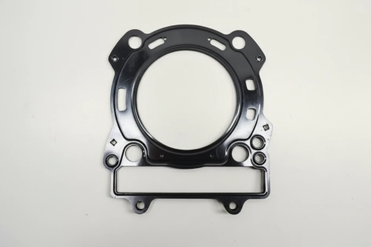 OEM 77030036000 — эталонное изображение