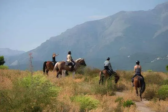 Passeio a cavalo para principiantes com instrução e acompanhamento de guia (1 hora acadêmica)