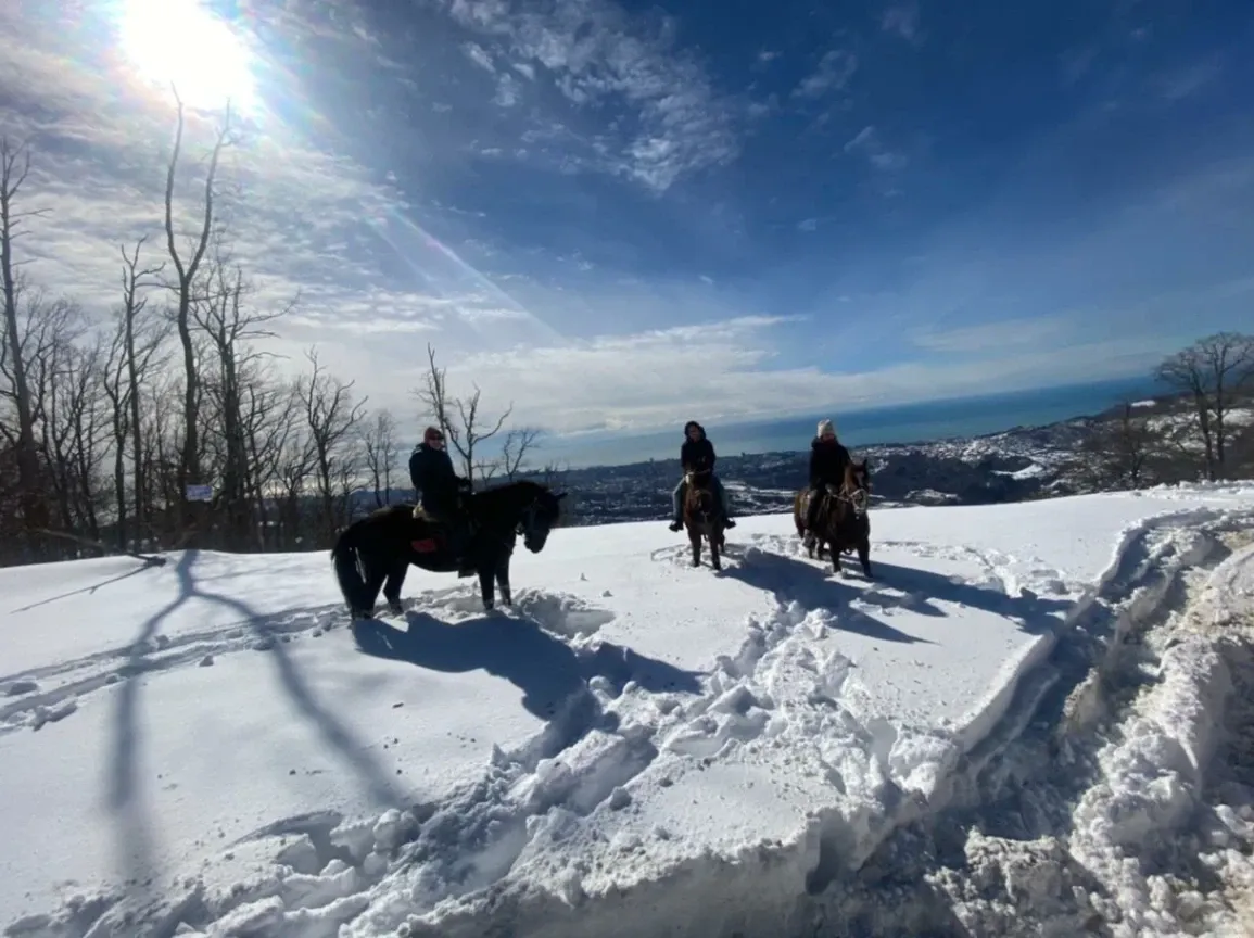 Ranch visit with horseback riding through a scenic forest for one
