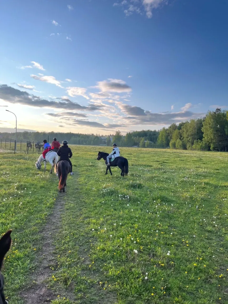 1 hora de passeio a cavalo e instrução para uma pessoa de um estábulo privado