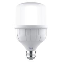 Высокомощная светодиодная лампа GLDEN-HPL-40-230-E27-6500  1/20