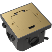 Лючок 2 мод. (1 мод. 45х45 мм.), золото, IP44, (с уст. набором)