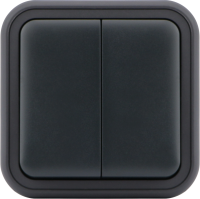 Переключатель 2-клавишный накладной, цвет антрацит, IP55, серия W55