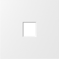 Накладка 1-я для розеток RJ45,TV,SAT, матовый белый, серия S08