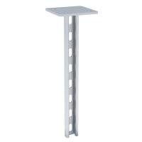 STRUT-стойка 41x21 мм, основание 2300 мм EKF