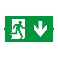 Пиктограмма EMGP-DIRECT-DOWN (Вниз) (Arlight, Пластик)