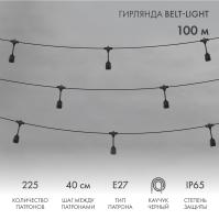 Гирлянда Белт-Лайт 2 жилы, 100м, шаг 40см, 225 подвесных патронов Е27, IP65, черный круглый провод каучук NEON-NIGHT