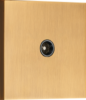 TV розетка (папа), латунь, серия N96