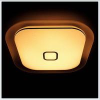 F52 WH 48W S450 ORBITAL Многофункциональный (ПДУ)