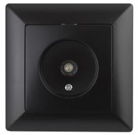 Розетка Intro Solo 4-301-05 TV одиночная, СУ, антрацит