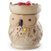 Candle Warmers / Аромасветильник настольный  Сова  керамика Round Illumination - Owl