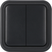 Рамка с клавишей для скрытой установки переключателя двухклавишного, цвет антрацит, IP55, серия W55