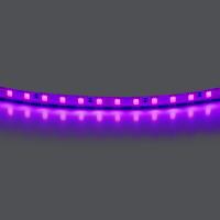420518 Лента LIGHTSTAR LED 24V 12W 120leds/M 1600 LM/M purple IP20 1шт = 5м