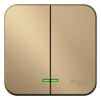 BLANCA О/У 2-клавишный ВЫКЛЮЧАТЕЛЬ (сх.5), 10А, 250В, ТИТАН