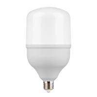 Лампа Gauss Elementary T140 50W 4500lm 6500K E27 LED 1/8
