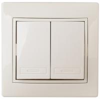 1-104-02 Intro Выключатель двойной, 10А-250В, IP20, СУ, Plano, сл.кость (10/200/2400)