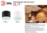 OL17 GX53 WH Подсветка ЭРА Накладные, под GX53 (40/960)
