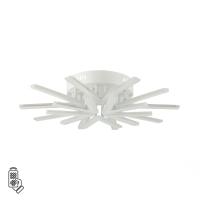 8029/80CL LEDIO LN25 248 белый/белый, металл/акрил Потолочный светильник с ПДУ LED 80W 3000-6000К 220V ALBERTA