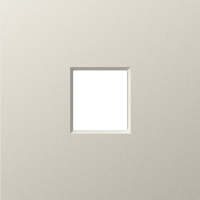 Накладка 1-я для розеток RJ45,TV,SAT, матовый кашемир, серия A07