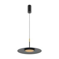 Подвесной светильник Maytoni MOD041PL-L15B3K1