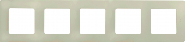 Legrand Etika Сл.кость Рамка 5-ая