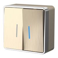 Выключатель двухклавишный с подсветкой Gallant (шампань рифленый) / W5020110