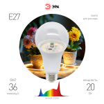 ФИТО A65-20W-PFR-E27-GR  Фитолампа для растений светодиодная ЭРА GREEN LINE ФИТО A65-20W-PFR-E27-GR полного спектра 20 Вт Е27