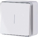 Выключатель одноклавишный с подсветкой Gallant (белый) / WL15-01-04 / W5010101