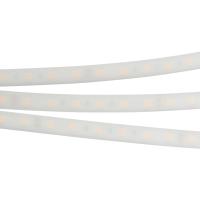 Лента RTW 2-5000PW 24V Warm2700 2x (5060, 300 LED, LUX) (Arlight, 14.4 Вт/м, IP66)