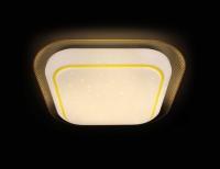 F49 YL 48W S450 ORBITAL Многофункциональный (ПДУ)