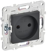 SKANDY Розетка без заземления без защитных шторок 10А SK-R02T титан IEK