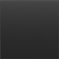 Клавиша для перекрёстного переключателя 1-я, черный графит, серия S08