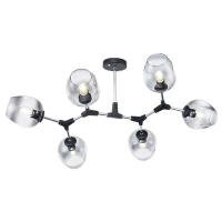 Потолочный светильник FR5006CL-06B