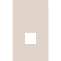 Интернет RG-45/RG11 накладка 2 мод. (ПЕСОЧНЫЙ МАТОВЫЙ) MEITON AM07M2