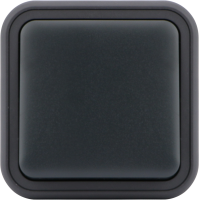 Выключатель звонкового типа 1-клавишный накладной, цвет антрацит, IP55, серия W55