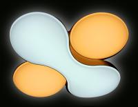 FG1055/1 WH 52W D360*360