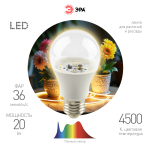 FITO-20W-Ra90-E27  Фитолампа для растений светодиодная ЭРА FITO-20W-Ra90-E27 полного спектра 20 Вт Е27